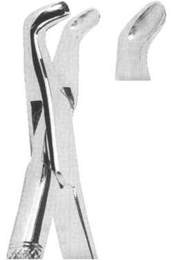Text